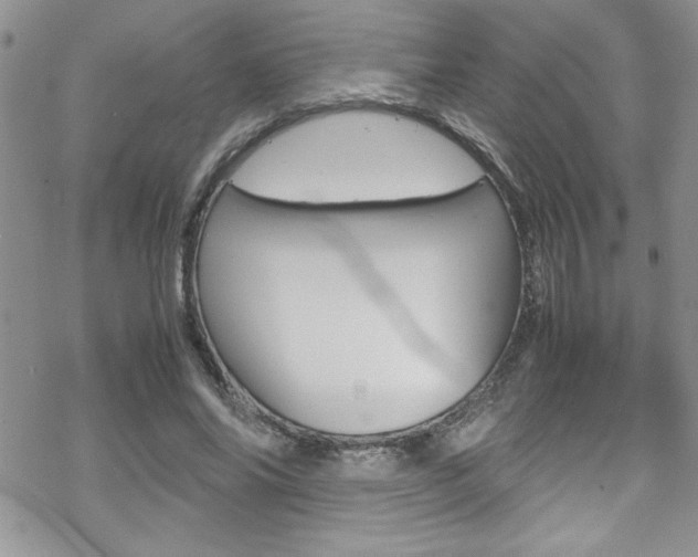 X0000070350686200606090828