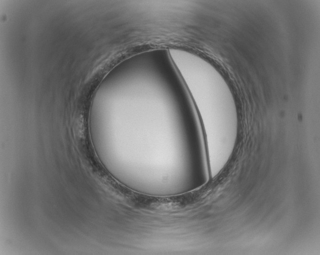 X0000070350689200606090828