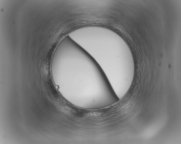 X0000070350691200606090828