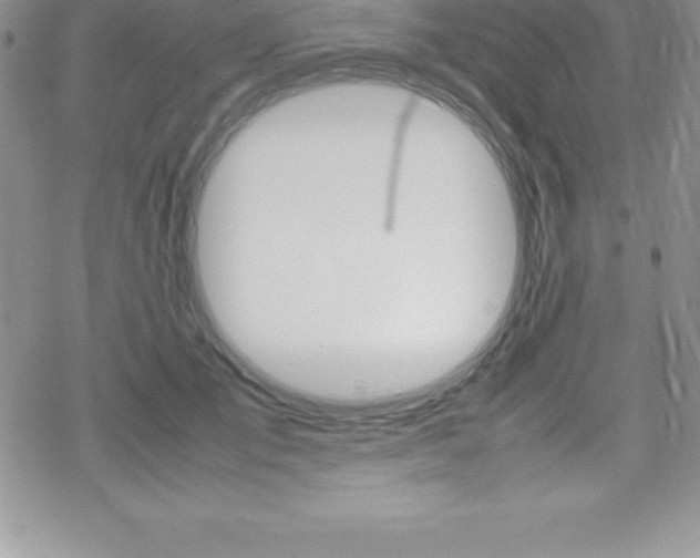 X0000070350701200606090828