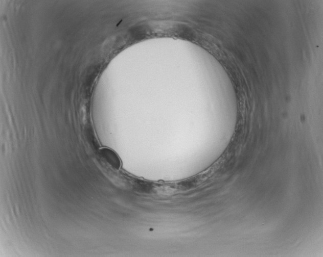 X0000070350703200606090828