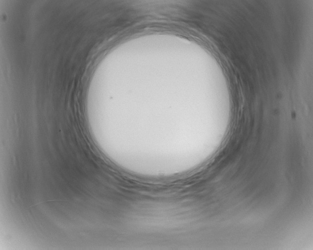 X0000070350705200606090828