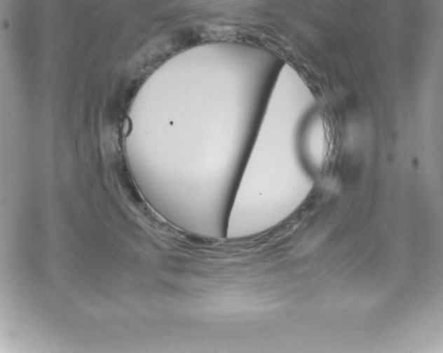 X0000070350711200606090828