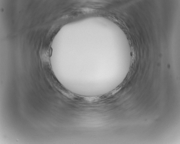 X0000070350713200606090828