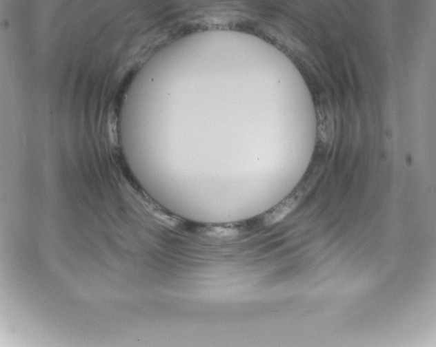 X0000070350718200606090828