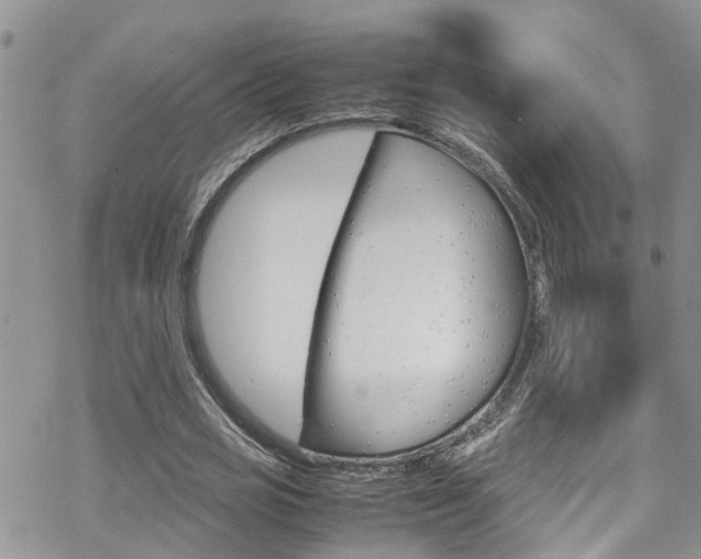 X0000070350725200606090827