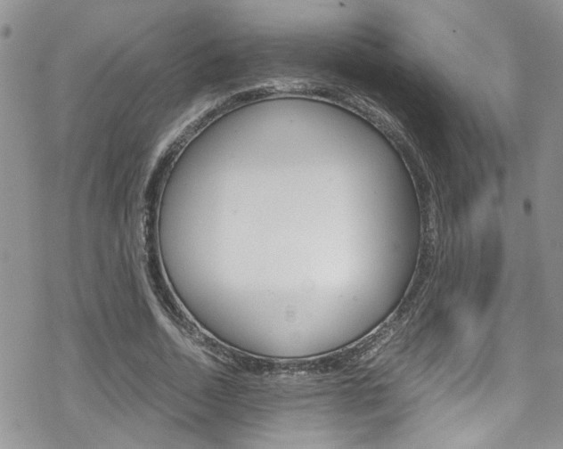 X0000070350730200606090827