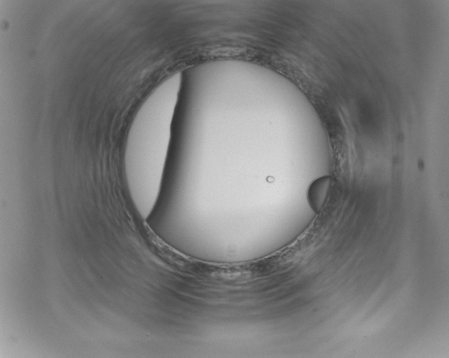 X0000070350745200606090827