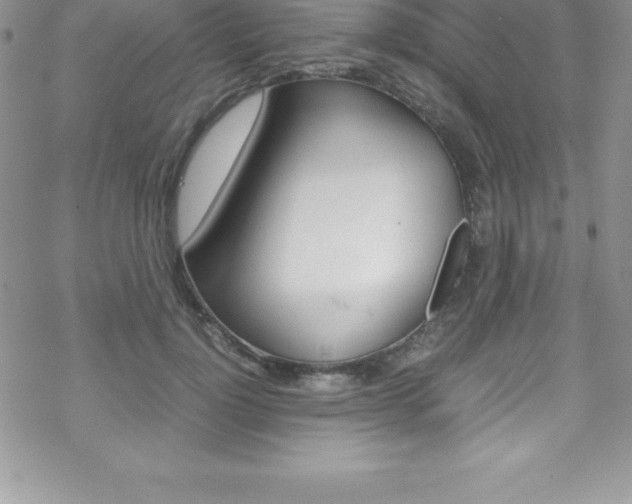 X0000070350748200606090827