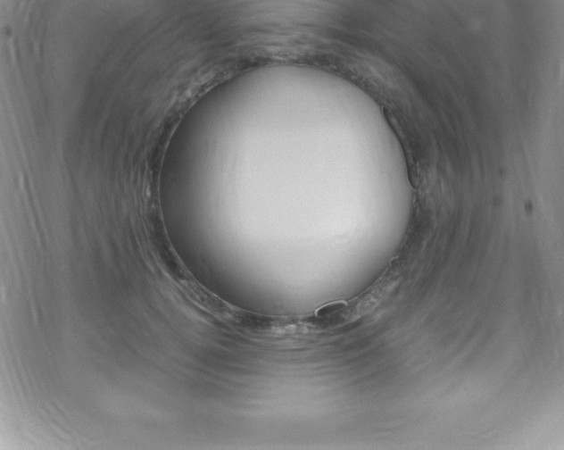 X0000070350752200606090827