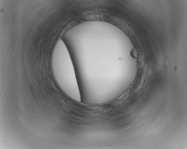 X0000070350753200606090827