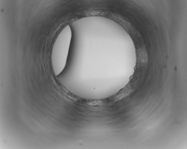 X0000070350761200606090828