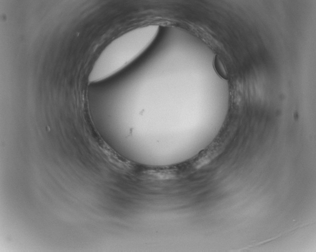 X0000070350763200606090828