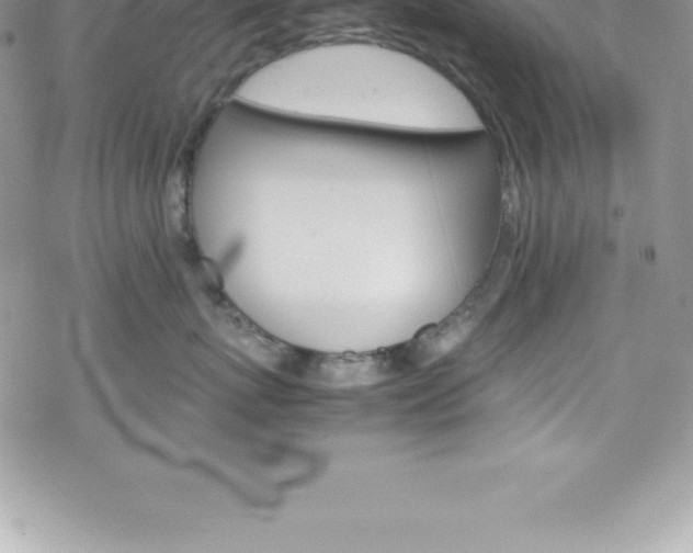 X0000070350767200606090828