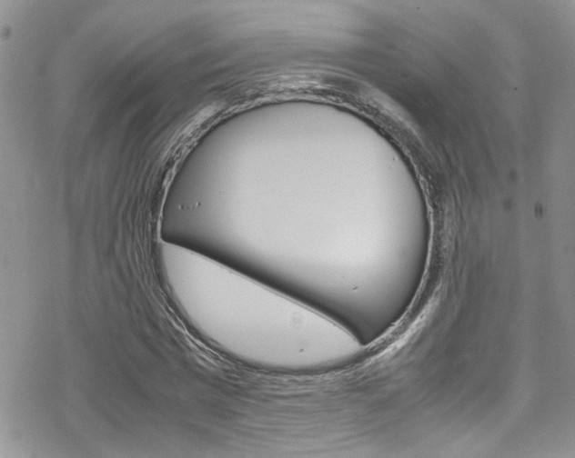 X0000070350777200606090827