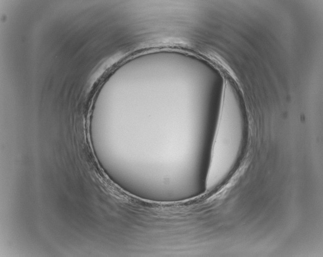 X0000070350781200606090827