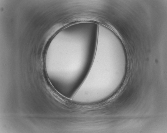 X0000070350787200606090827