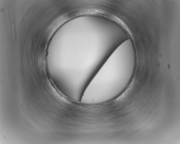 X0000070350802200606090826