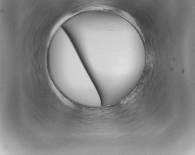 X0000070350811200606090826