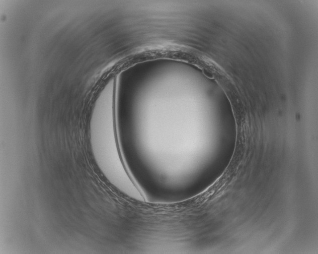 X0000070350822200606090825