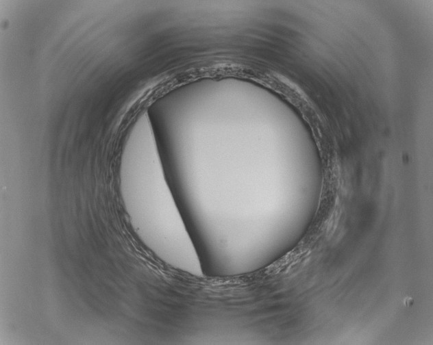 X0000070350823200606090825