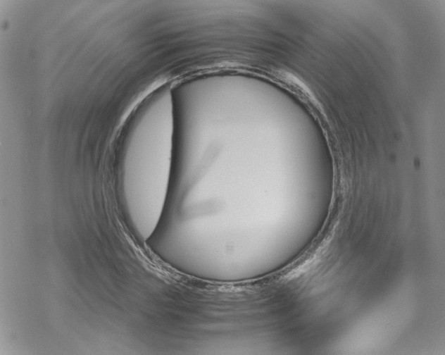 X0000070350827200606090826