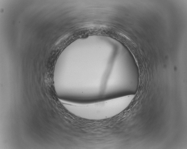 X0000070350869200606090825
