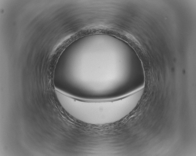 X0000070350872200606090825