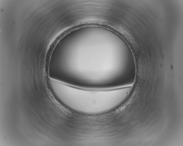 X0000070350880200606090825