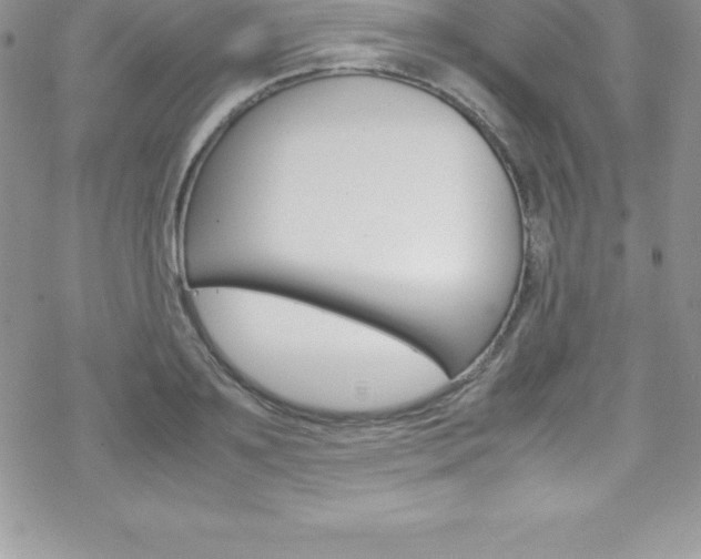 X0000070350891200606090825