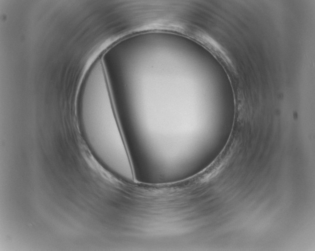 X0000070350892200606090825
