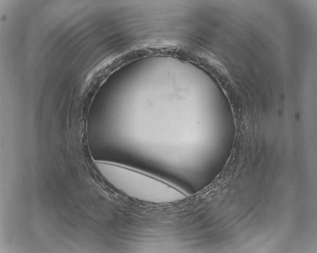 X0000070350920200606090824