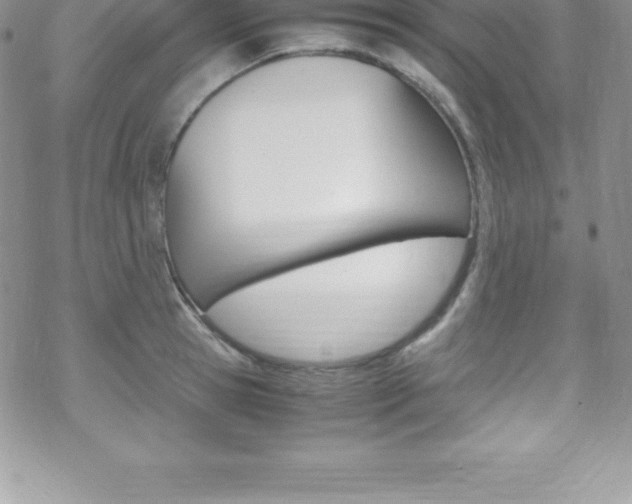 X0000070350945200606090824