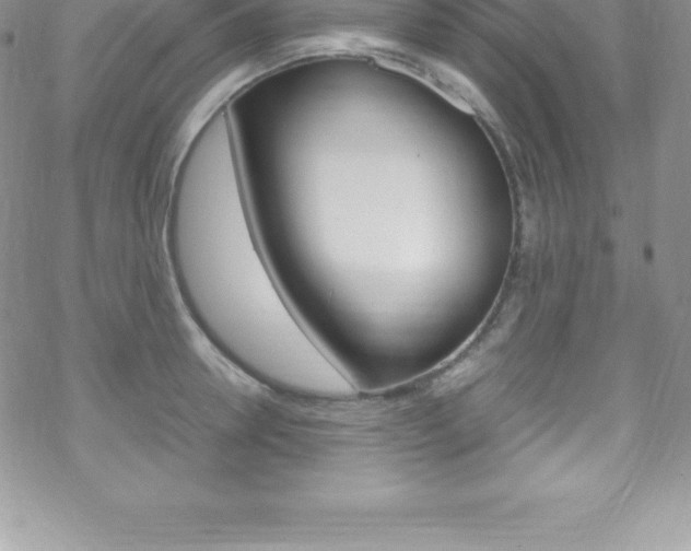 X0000070350946200606090824
