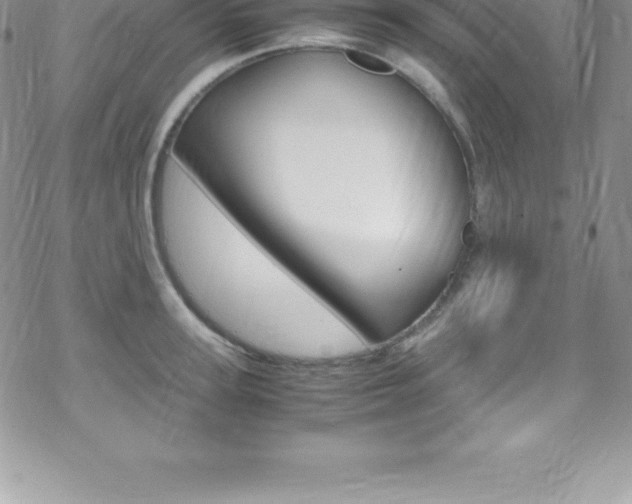 X0000070350947200606090824
