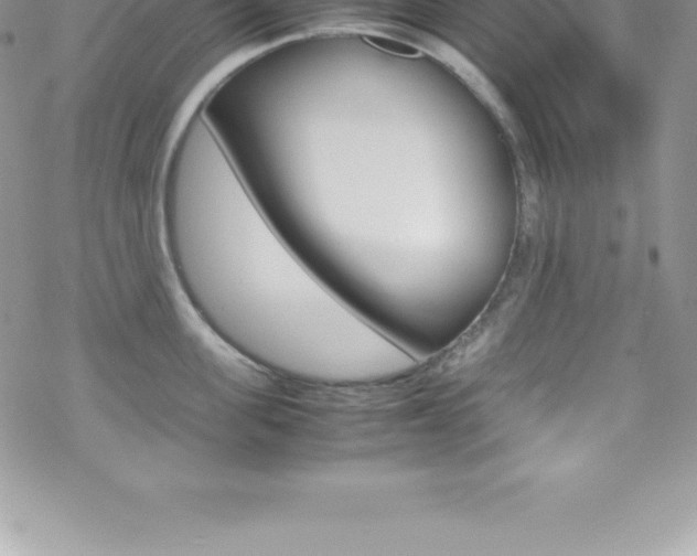 X0000070350955200606090824