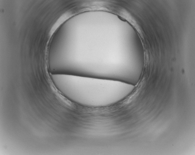 X0000070351002200606090823