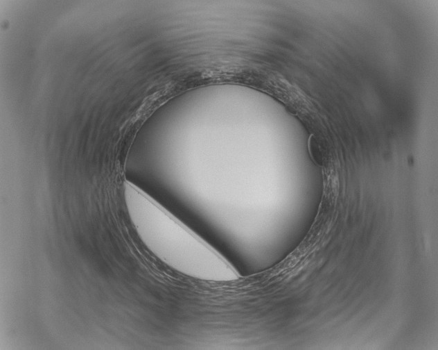 X0000070351012200606090822