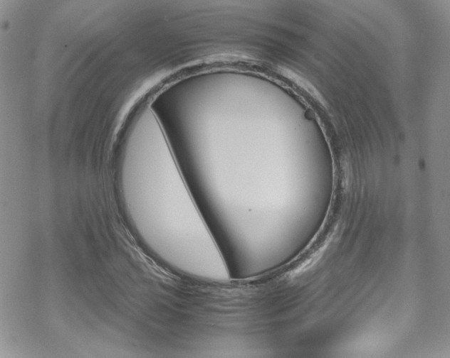 X0000070351021200606090822