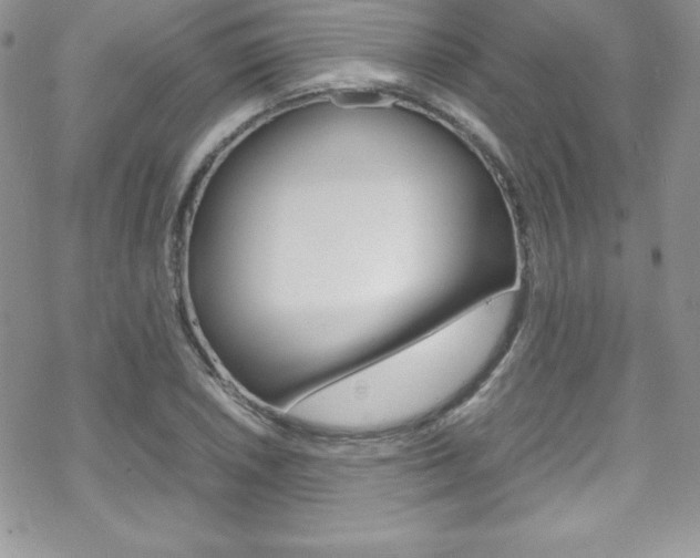 X0000070351026200606090823