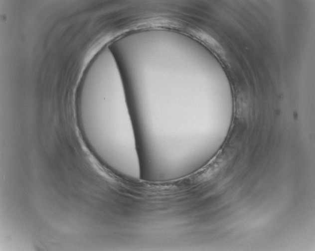 X0000070351039200606090823