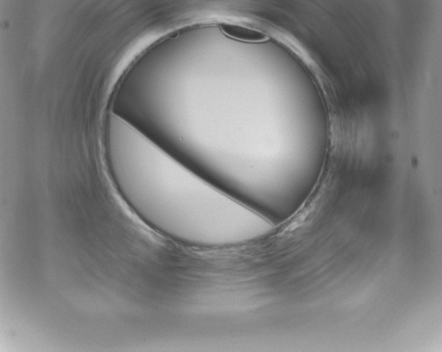 X0000070351048200606090823
