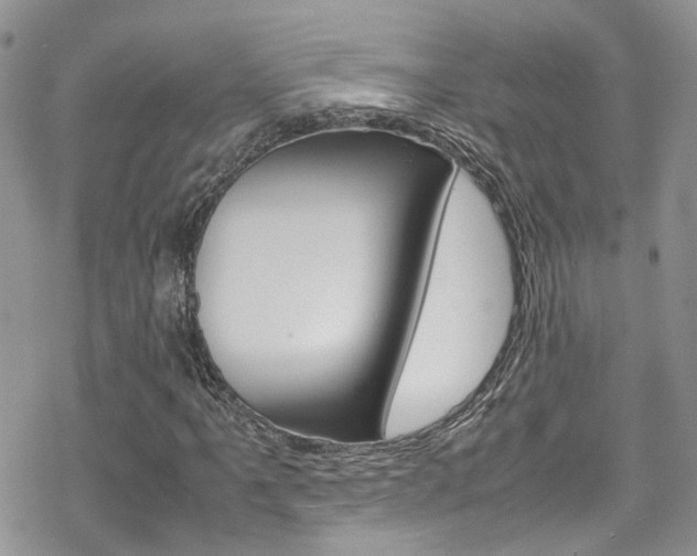 X0000070351061200606090822