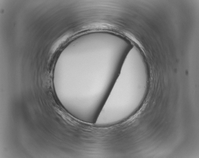 X0000070351067200606090822