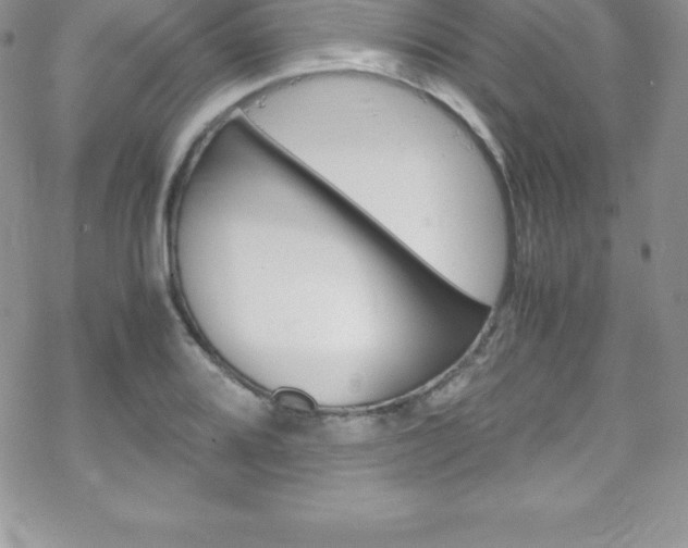 X0000070351080200606090822