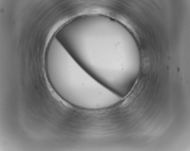 X0000070351088200606090822