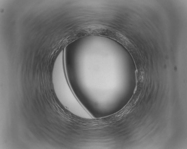 X0000070351108200606090821