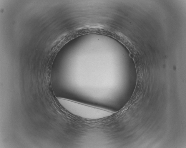 X0000070351110200606090821