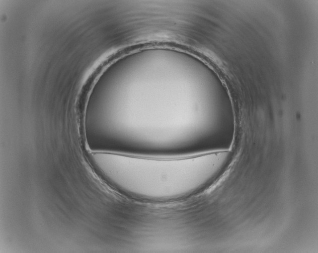 X0000070351118200606090821