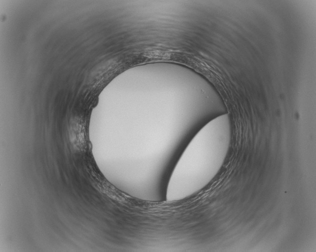 X0000070351154200606090821